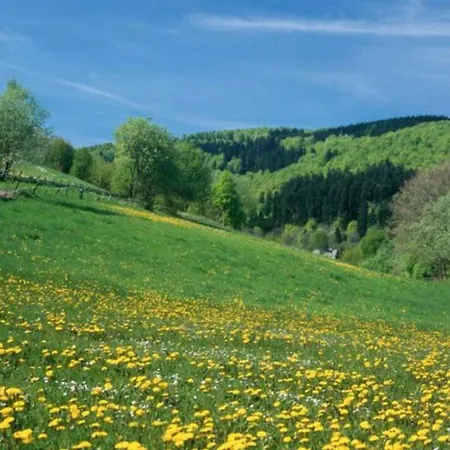 Typ Wieselbau Resort Schmallenberg
