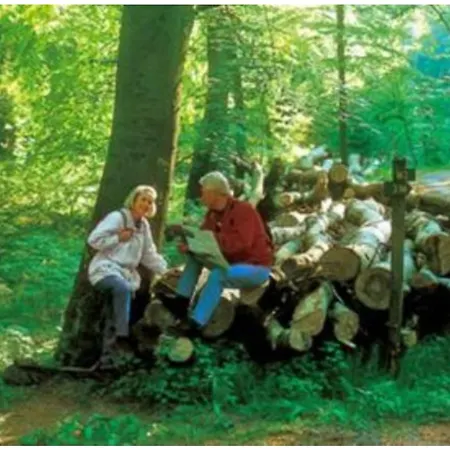 Typ Wieselbau * Schmallenberg