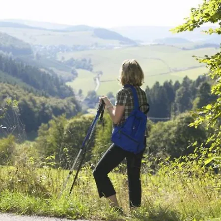 Typ Wieselbau * Schmallenberg