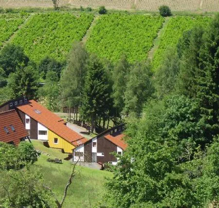 אתר נופש Typ Wieselbau *