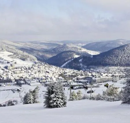 Typ Wieselbau אתר נופש שמאלנברג