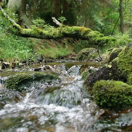 Typ Wieselbau שמאלנברג