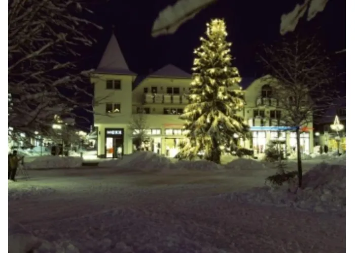 Typ Wieselbau Semesteranläggning (resort)