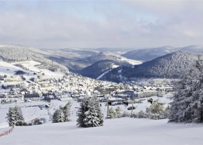 Typ Wieselbau Semesteranläggning (resort) *