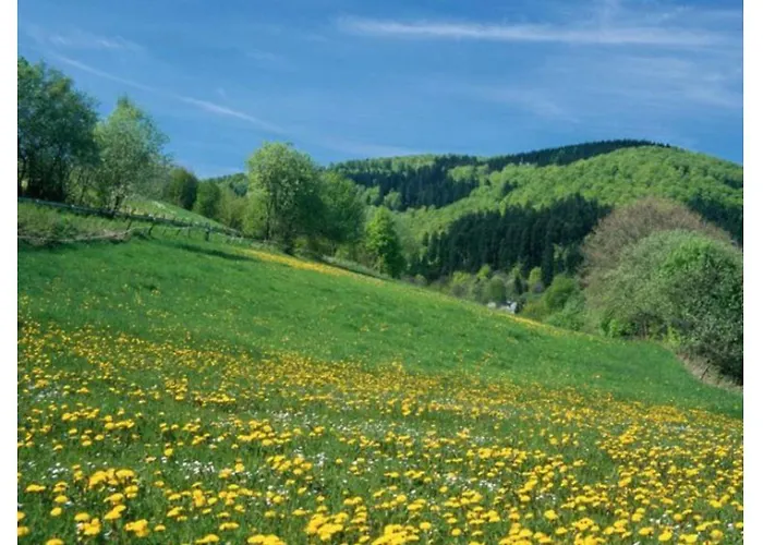 Typ Wieselbau Semesteranläggning (resort) Schmallenberg