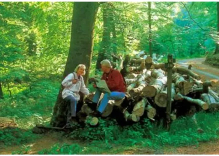 Typ Wieselbau * Schmallenberg