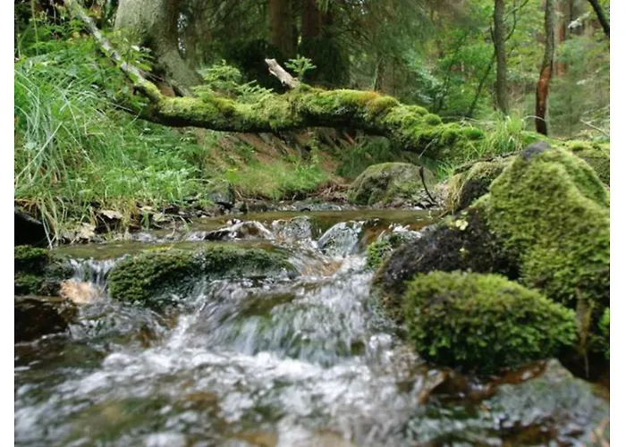 Semesteranläggning (resort) Typ Wieselbau *
